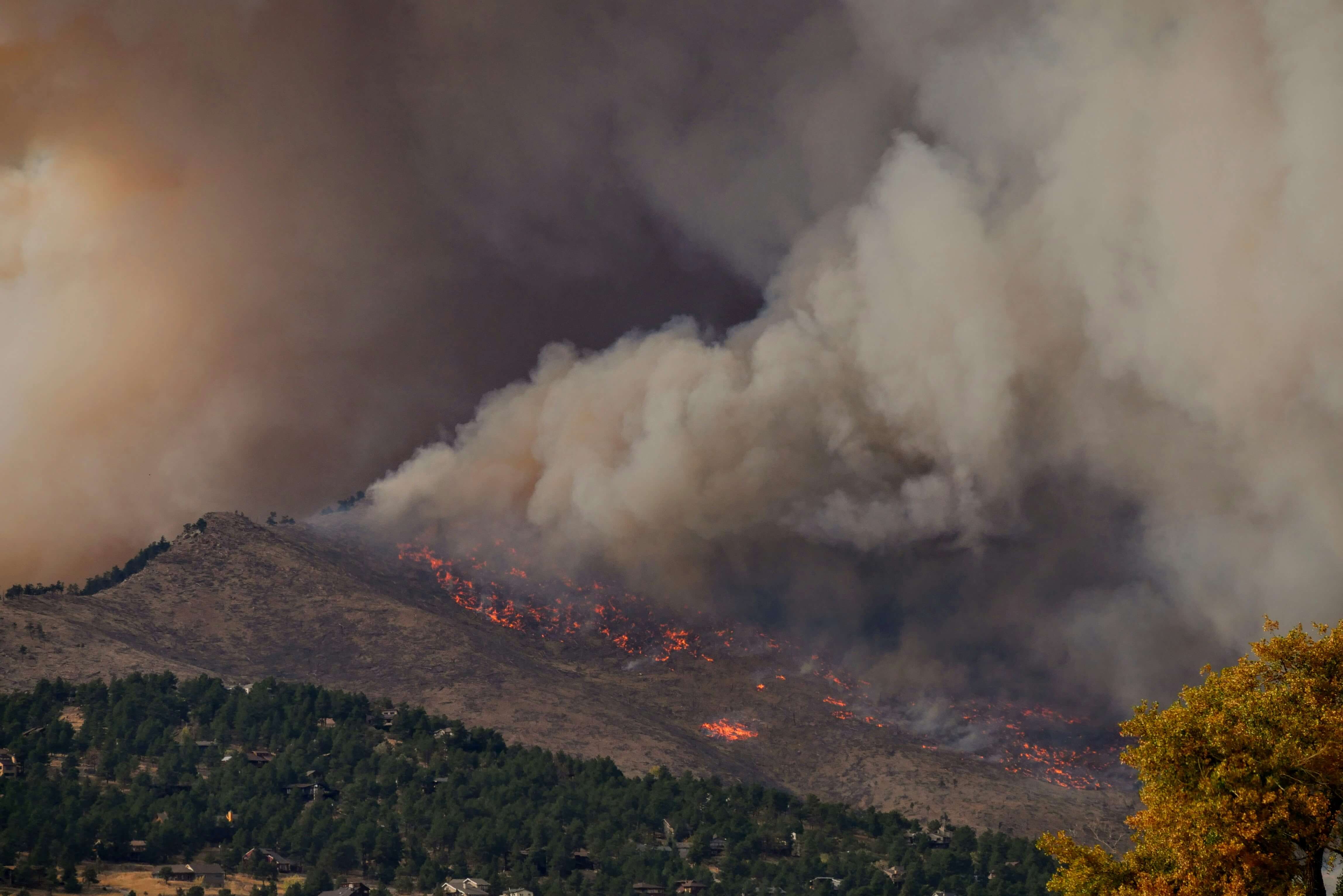 Wildfire News